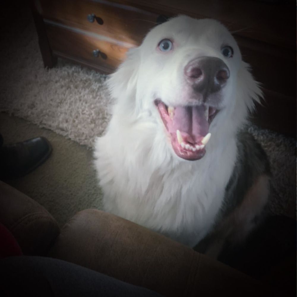 Meet your Posher, Celina